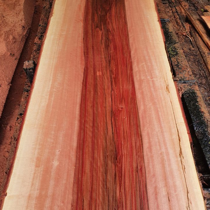 Red Heart Satin Sycamore Species